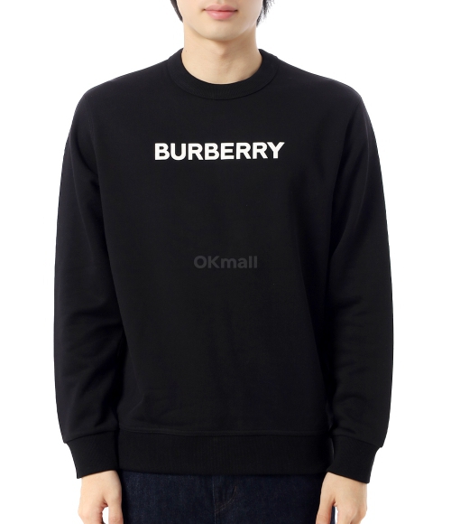 BURBERRY｜SCARVES (Houndus silk scarf (8081992)) BURBERRY]Houndus silk scarf (8081992) | 오케이몰