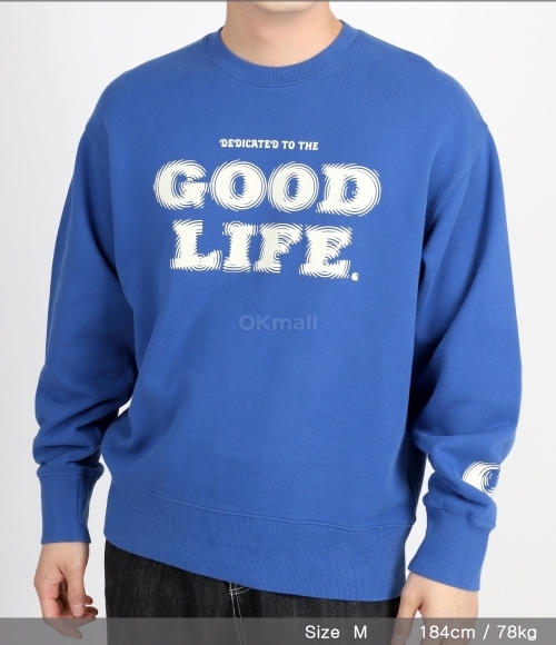 CARHARTT WIP]Mist Sweatshirt (I033245-25SXX) | 오케이몰