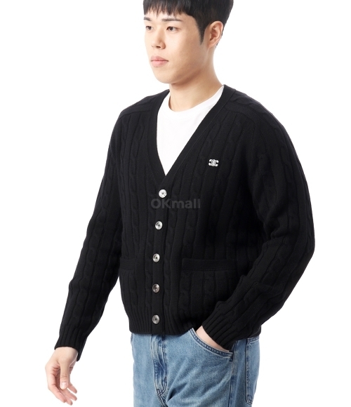 CELINE｜CARDIGANS (2AD5G362W 38NO) TRIOMPHE CARDIGAN IN CABLE-KNIT CASHMERE - LIGHT GREY | CELINE