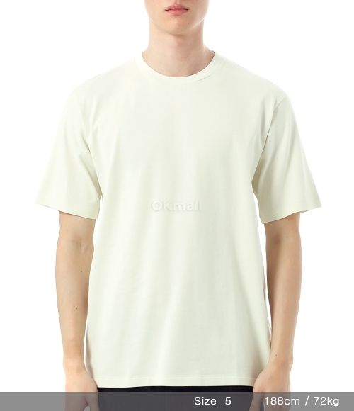 AURALEE]LUSTER PLAITING T-SHIRT IVORY PISTACHIO (A00P02GT